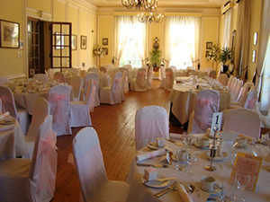 Pink Organza Hemswell Court